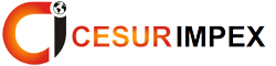 Cesur Impex Logo